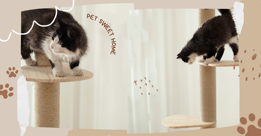 Unique Cat Tree for Your Cat