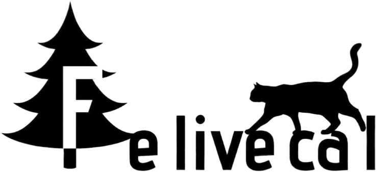 Felivecal LOGO