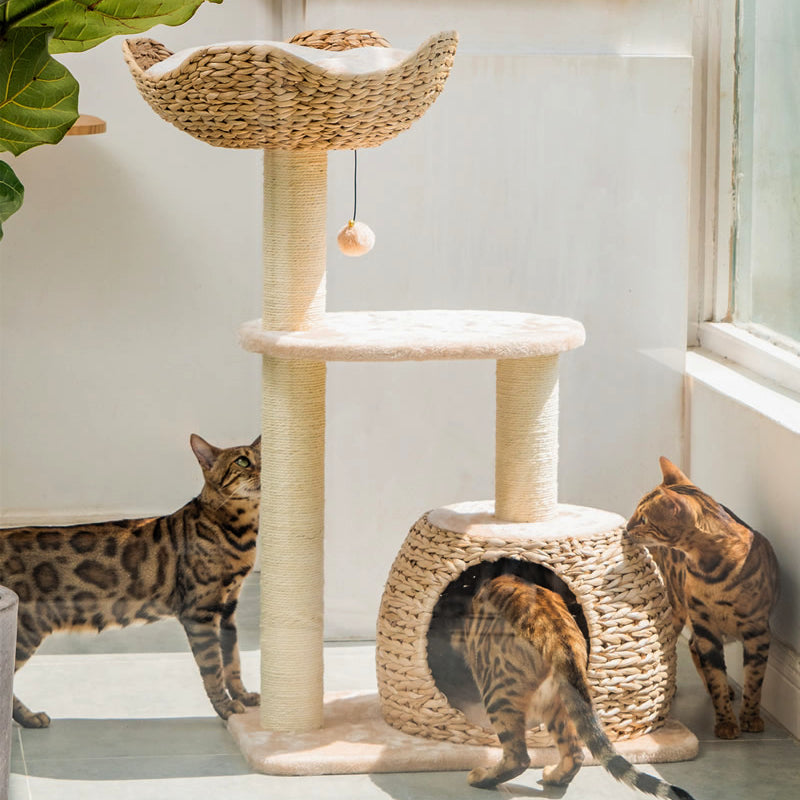 Summer cool cat bed Natural cattail cat tree FELIVECAL