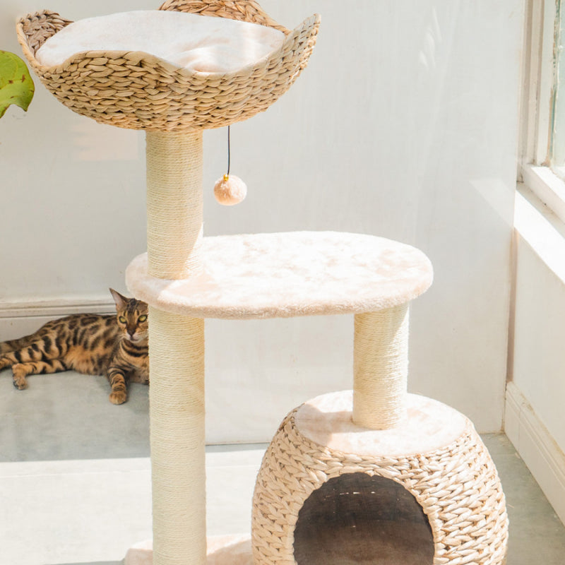 Summer cool cat bed Natural cattail cat tree