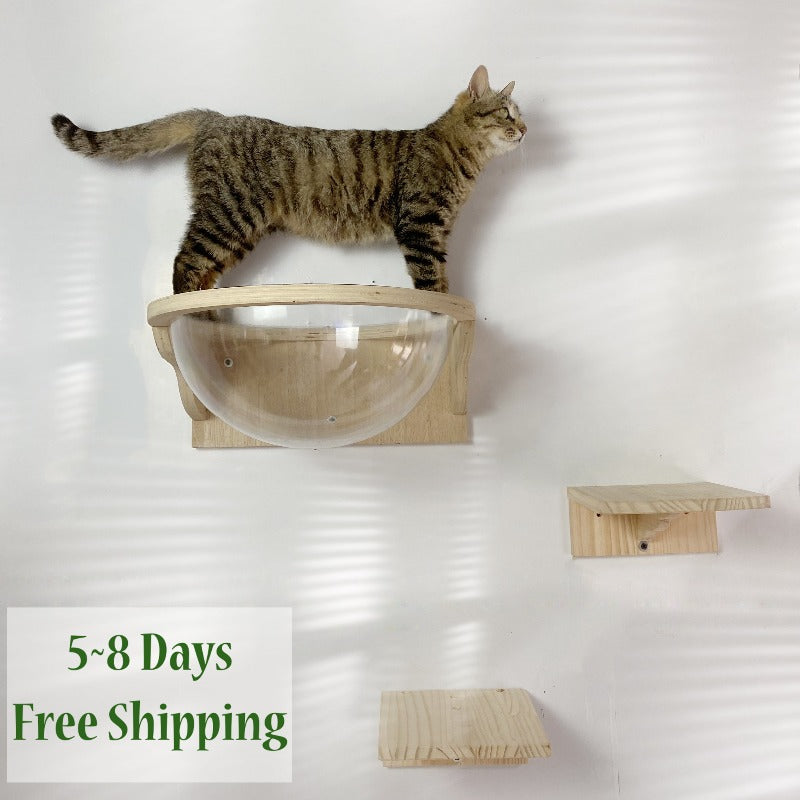 Wall-mounted cat Shelf step bed Space capsule Set