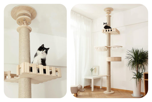 How To Choose A Cat Tree