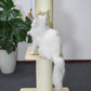 6.3" Thick Pillar Cat Tree (Springboard)