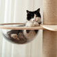 Floor to Ceiling Cat Trees Solid wood with Scratching Post For Large Cats-Top Upgrade