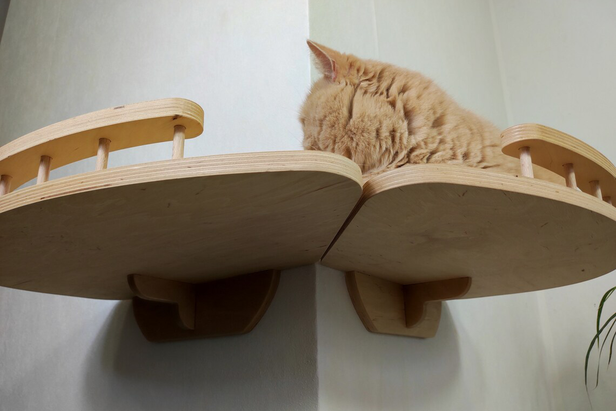 Cat Wall Shelves (External Corner)