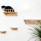 Wall-mounted cat Shelf step bed Space capsule Set