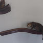 Cat Wall Shelves (Curved Waved)