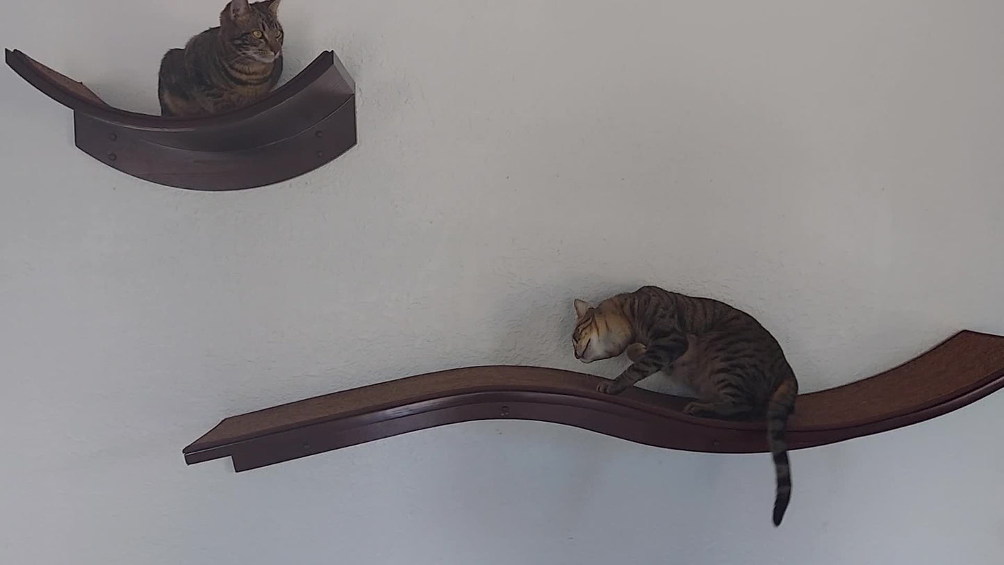 Cat Wall Shelves (Curved Waved)