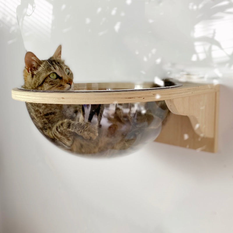 Wall-mounted cat Shelf step bed Space capsule Set