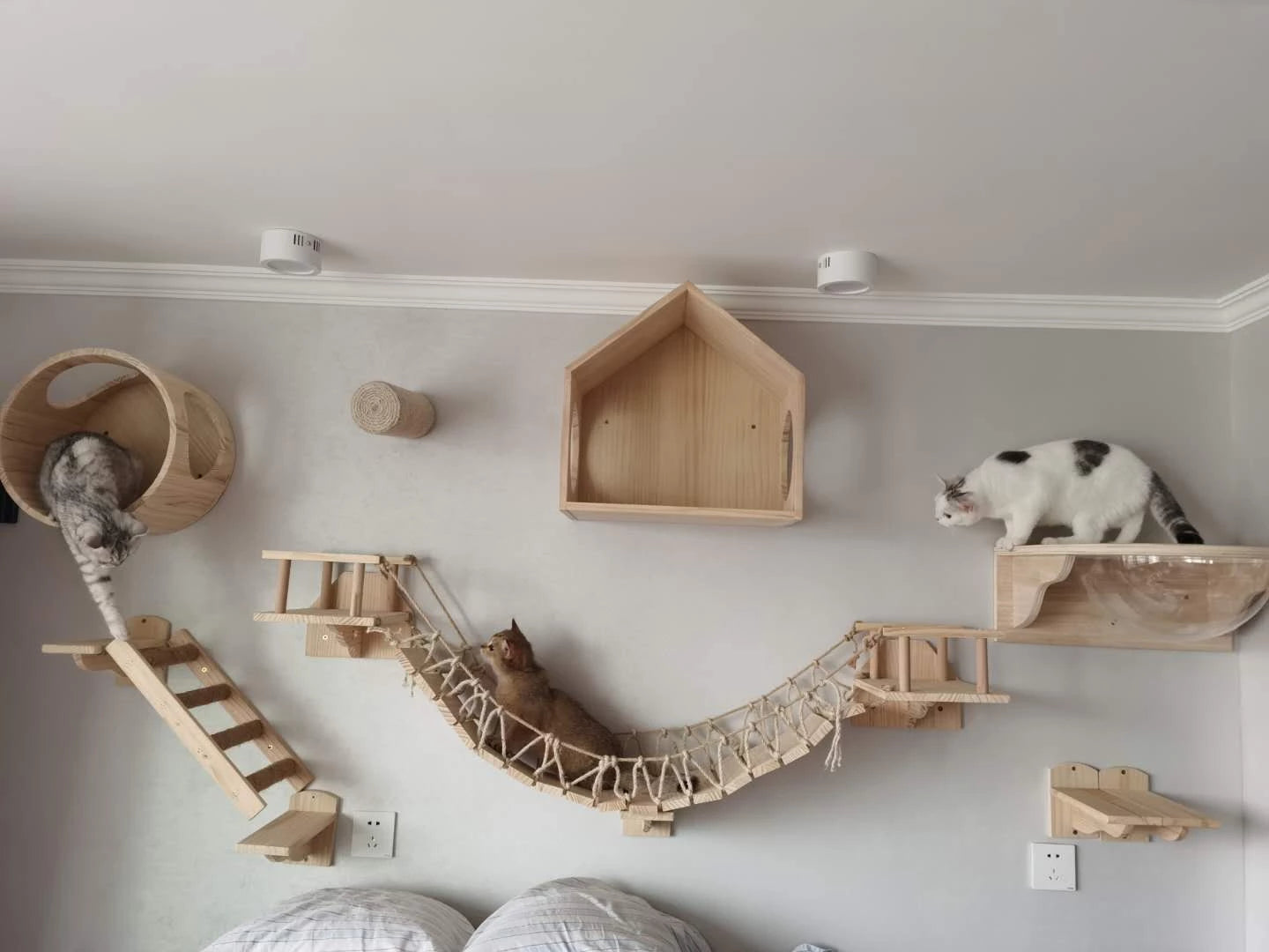 Wall-mounted solid wood cat climbing frame