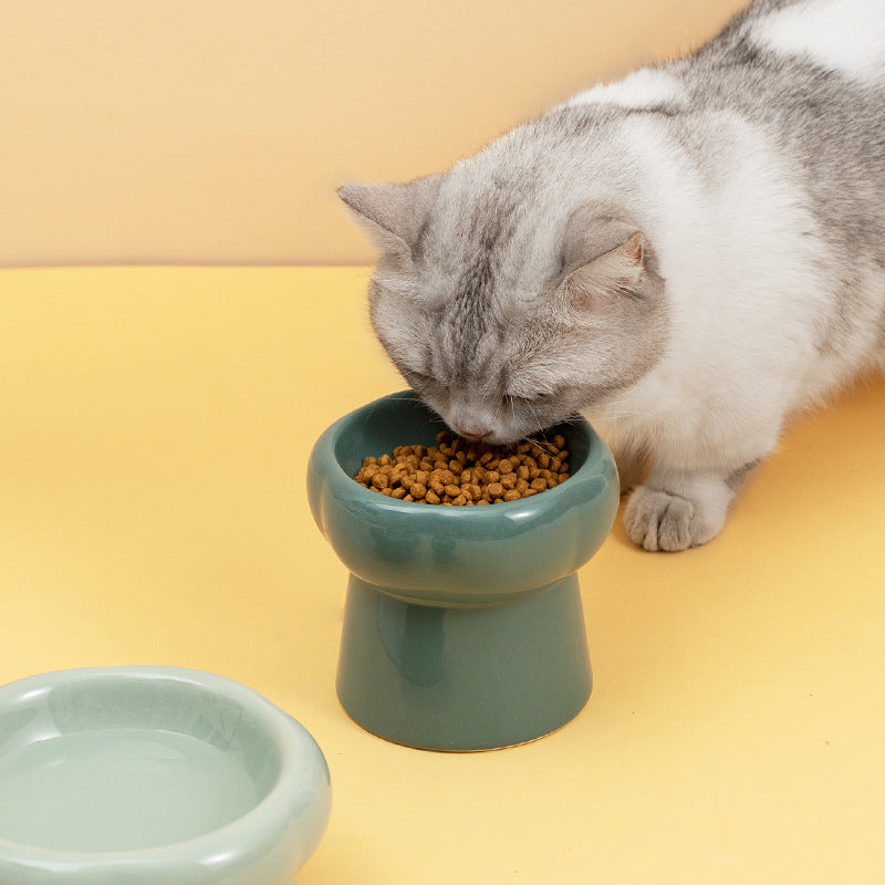 Petal ceramic cat bowl Small dog bowl Drinking bowl