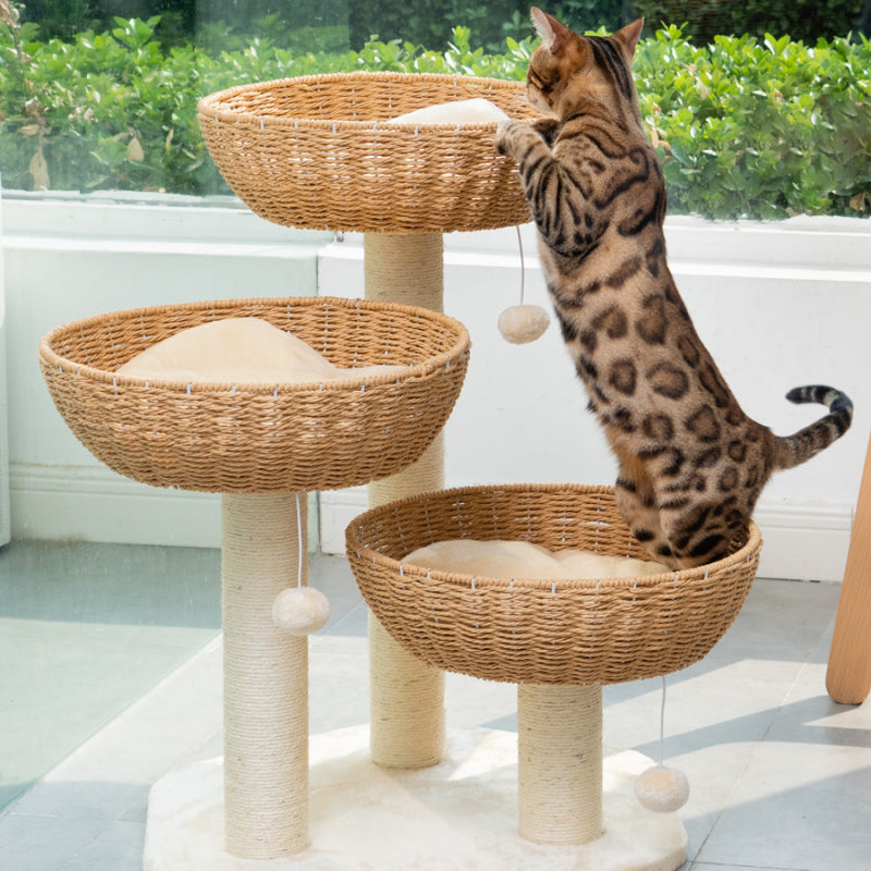 Rattan cat tree Cat scratching tree 3 Cat Nests