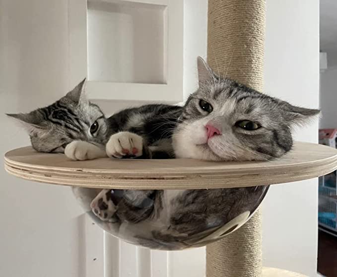 Wooden floor-to-ceiling cat tree tower