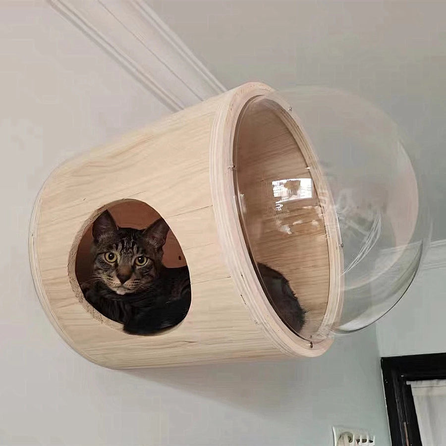 Wall-mounted solid wood cat climbing frame