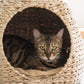 Summer cool cat bed Natural cattail cat tree
