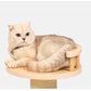 Solid wood Cat Scratching Post Cute Sisal Cat Scratcher 4types