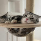 Wooden floor-to-ceiling cat tree tower