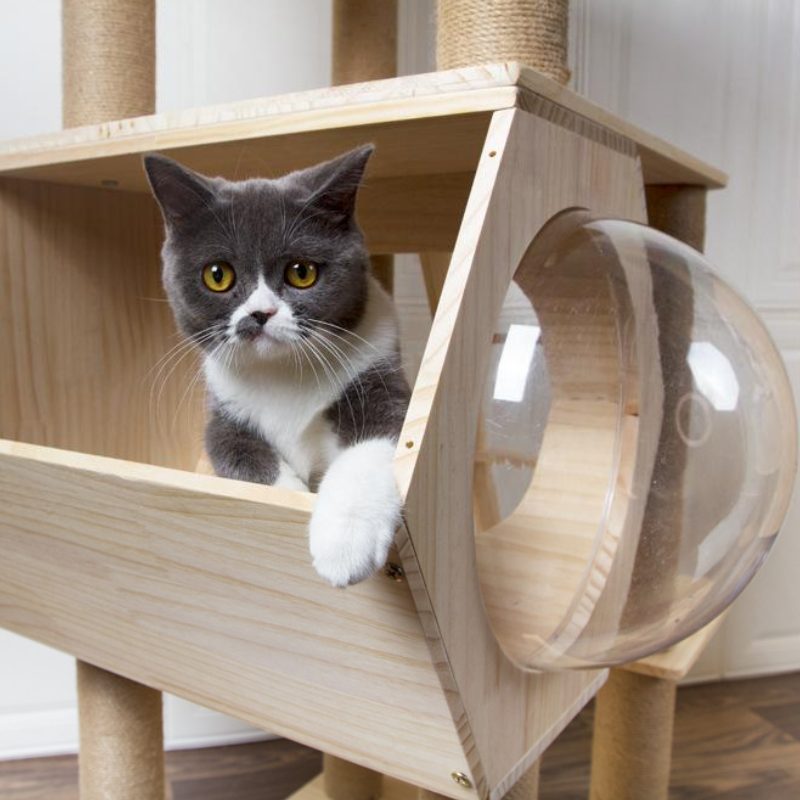 Large cat tower All-in-one solid wood cat tree