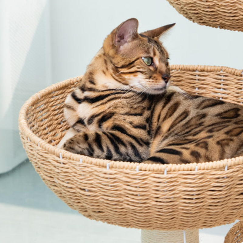 Rattan cat tree Cat scratching tree 3 Cat Nests