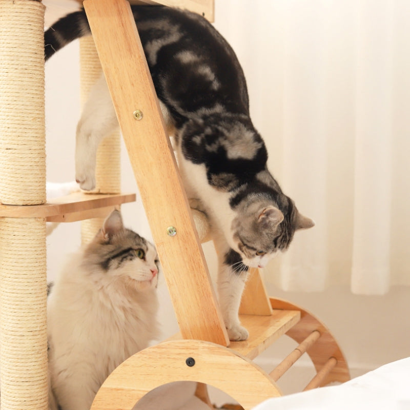 Integrated cat tree Solid wood cat bed Cat scratching post For Small Cat