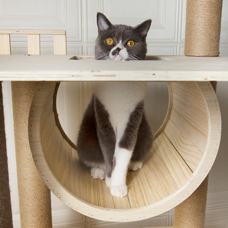 Large cat tower All-in-one solid wood cat tree