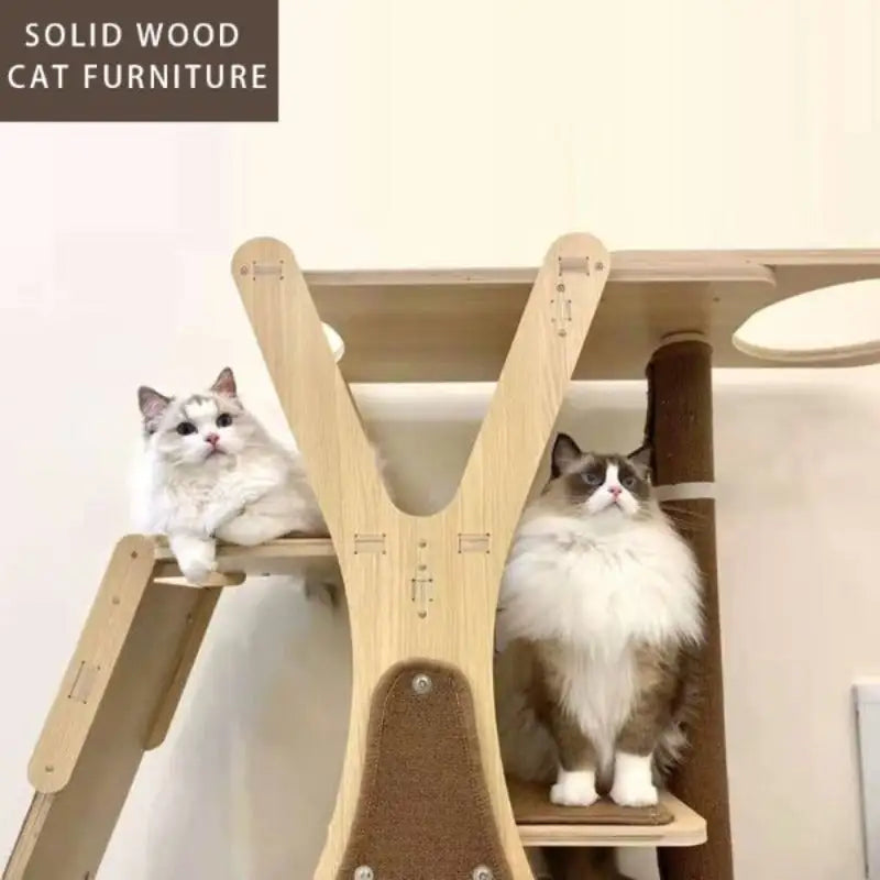 120cm Multi-Level Cat Tower with Transparent Capsule