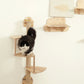 Wall-mounted Solid Wood Cat Bed Frame Cat Shelves