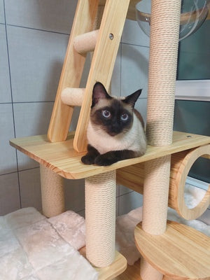 Importe Solid Wood Cat Climbing Tree