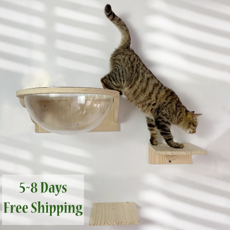 Wall-mounted cat Shelf step bed Space capsule Set