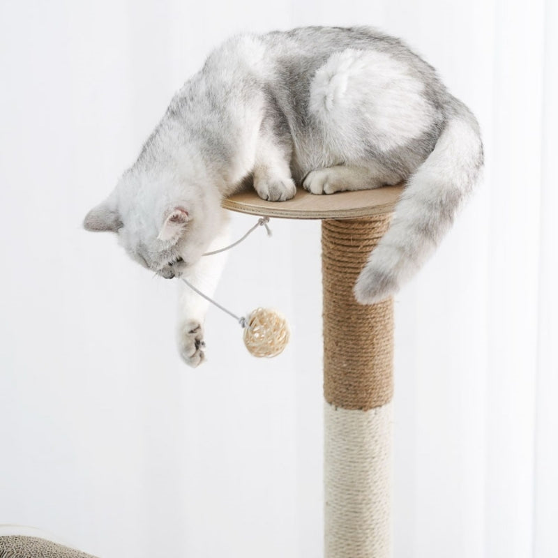 Small Solid Wood Cat Tree Sisal Scratching Post Cat Bed