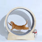 Solid Wood Cat Running Wheel Exercise Treadmill Cat Sport Toy 4sizes