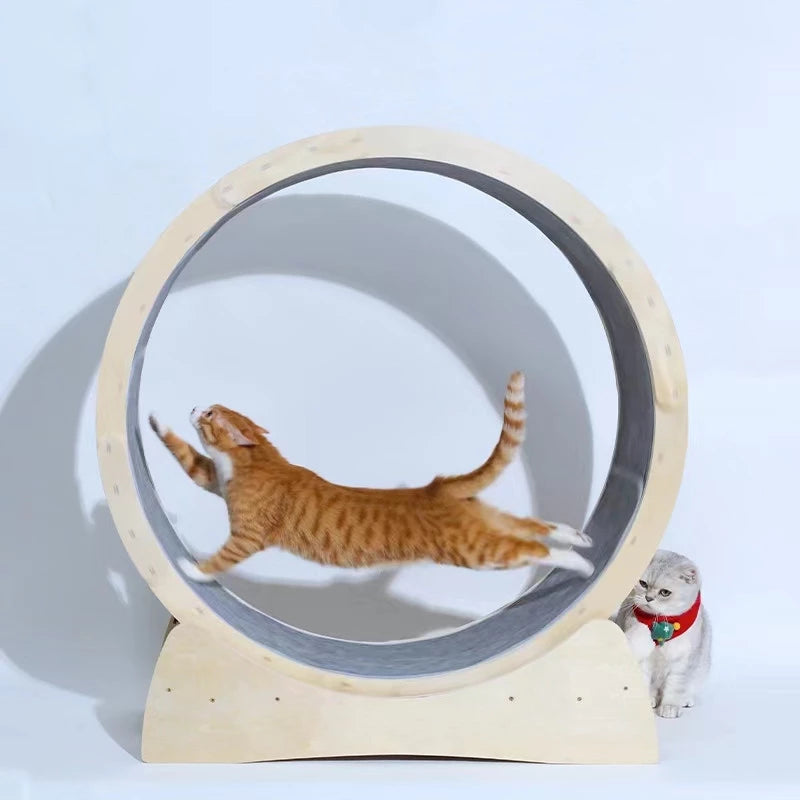 Solid Wood Cat Running Wheel Exercise Treadmill Cat Sport Toy 4sizes ...