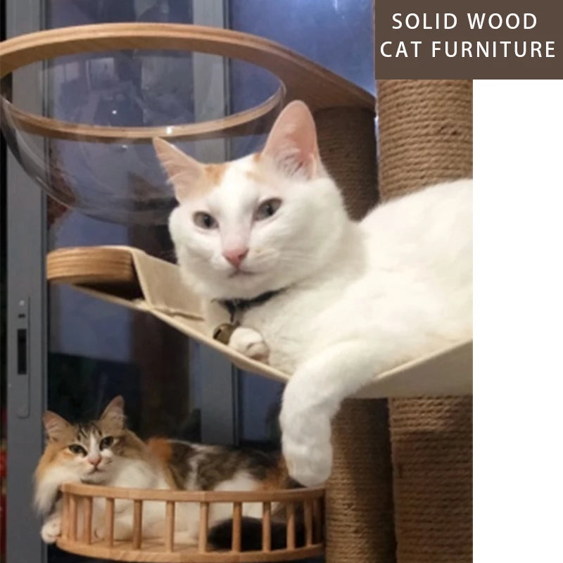 Solid Wood Cat Tree Cats Scratcher